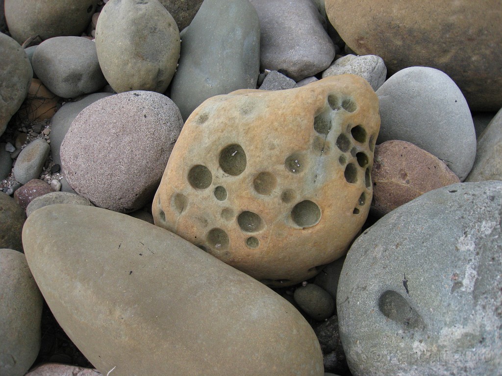Carpinteria California 2010-02 0140.jpg - A trip to Carpinteria California. Surfing, food, beachs. Rocks, lots of interesting rocks.